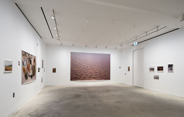 Wolfgang Tillmans, installation view