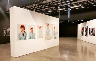 David Bowie by Mick Rock, installation view