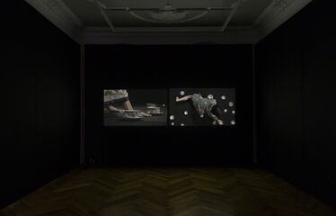 Some Descriptive Acts, installation view