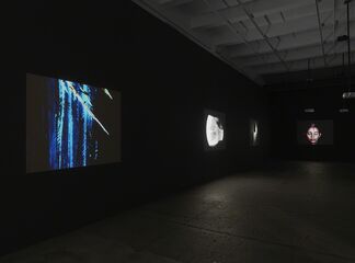 Ana Mendieta: Experimental and Interactive Films, installation view