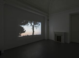 TOBIAS ZIELONY "The Dream Lovers. The Films 2008 - 2014", installation view