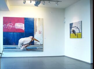 Private Ornithology, installation view