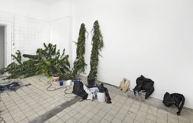 The Germ Of All Potential, installation view