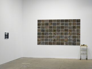Michelle Stuart: Flight of Time, installation view
