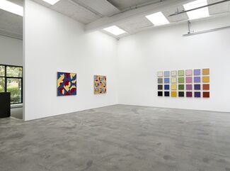 SIMPLICITY IS THE GLORY OF THE EXPRESSION, installation view