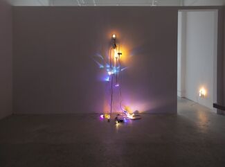 Jessica Sara Wilson: Faulty Bulb, installation view