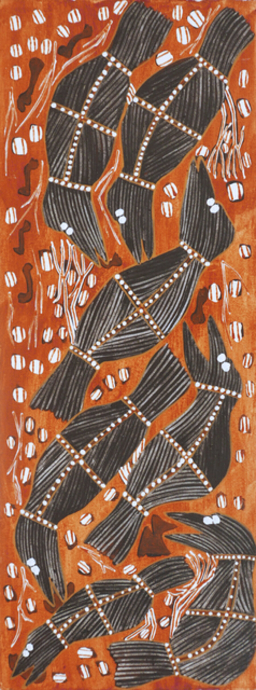 Wak Wak - Crow