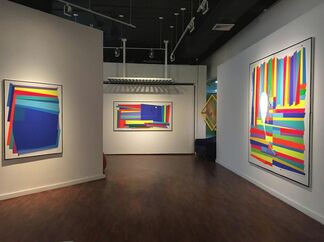 A Question of Color, installation view