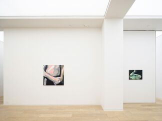 Clare Woods: Rehumanised, installation view
