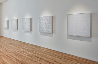 Tara Donovan, installation view