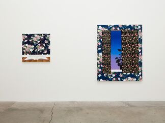 Viewing Room, installation view