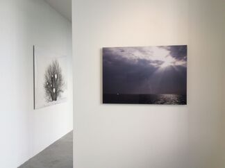 Fused with Nature, installation view