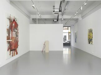 Elizabeth Neel: The People, the Park, the Ornament, installation view