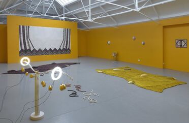 Jennifer Tee - Let it Come Down, installation view