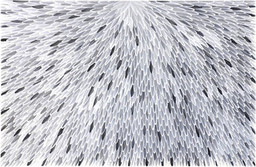 Raymond Walters Japanangka, ‘Ankerre Jukurrpa (Emu Feathers)’, 2019