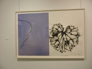 Barbara Edelstein: Leaf in the Air, installation view