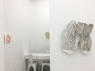 Eleanna Anagnos, "Mother Tongue", installation view