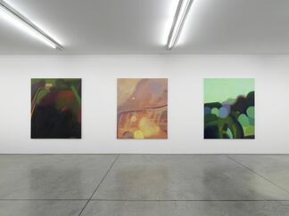 Phoebe Unwin | Field, installation view