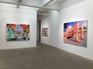 The Woman Destroyed, installation view