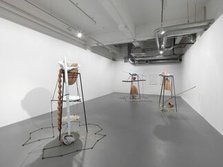 Tunga: From "La Voie Humide", installation view
