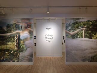 Falling Through Time - Barbara Cole, installation view