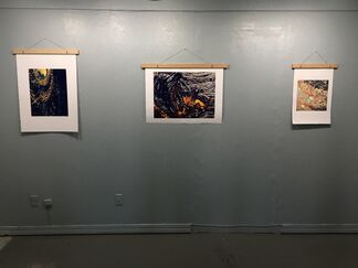 Time Lines, installation view
