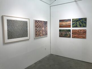 Pattern in Landscape, installation view
