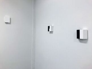 DAVID GOERK WHITE & BLACK (NEW WORK), installation view