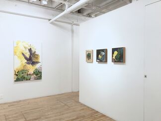Cultivate Your Own Garden, installation view
