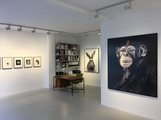 Walter Schels, Tiere / Animals, installation view