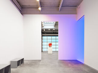 David Zwirner: 25 Years, installation view