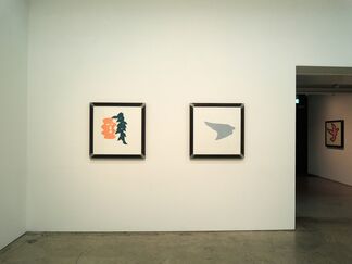 O JUN "A dove flying away, I am surprised.", installation view