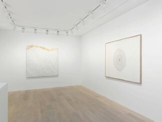 Giuseppe Penone: Selected Works, installation view