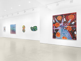 "Home & Away: Selections from Common Practice" curated by John Dennis, Dan Peterson and Carlos Rolón, installation view