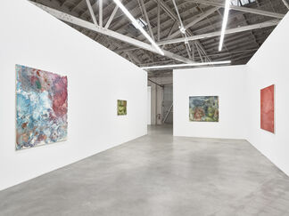 Toy Dust, installation view