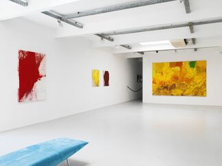 Hermann Nitsch, installation view
