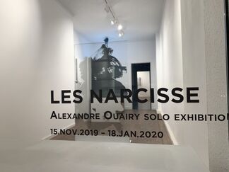 Les Narcisse, installation view