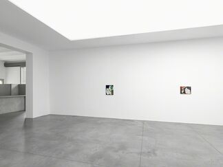 Lesley Vance, installation view
