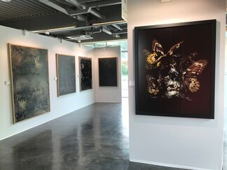 Acid Gallery at Docks Art Fair 2017, installation view