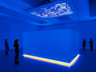 Diana Thater: Science, Fiction, installation view