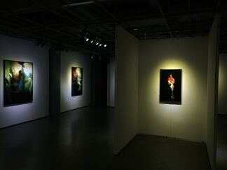 ART LABOR Gallery at Photo Shanghai 2015, installation view