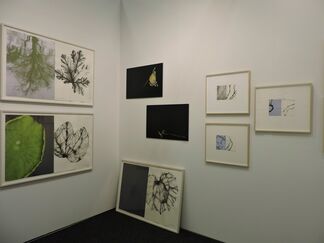 Christian Duvernois Gallery at Art on Paper New York 2016, installation view