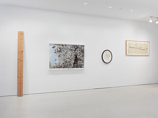 Something about a Tree, installation view