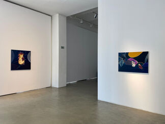 FARCE - the way we live, installation view