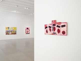 Joan Snyder: Rosebuds & Rivers, installation view