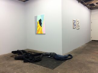 Surface of Color, installation view