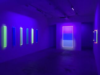 Regine Schumann, "Light Joy !", installation view
