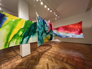 Martin Reyna · Color in transit, installation view