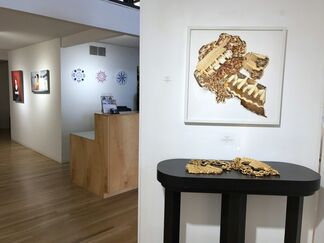 Come Back With A Warrant, installation view