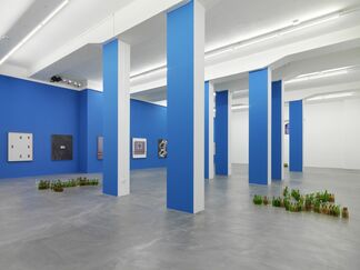 Valentin Carron, Insieme, installation view